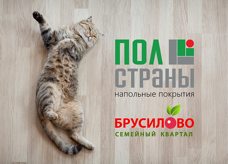 БОЛЬШЕ 50 ПАРТНЕРОВ