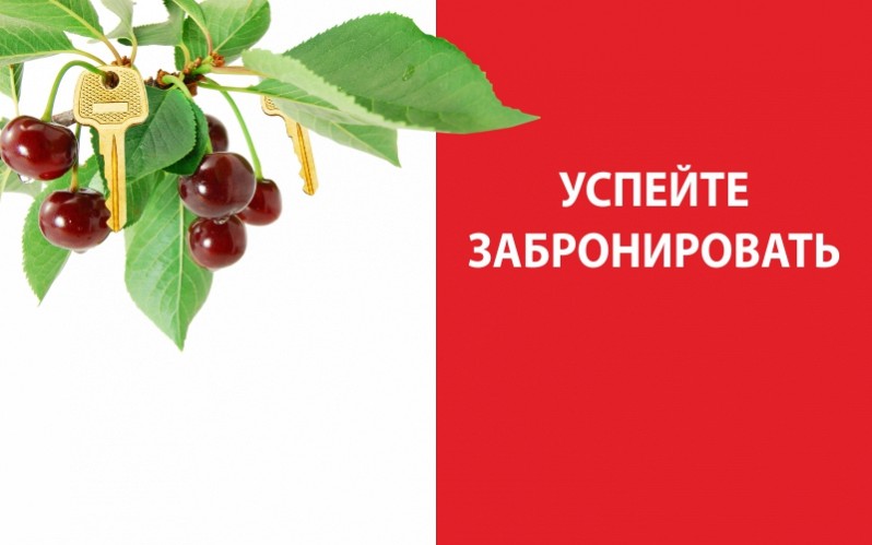 УСПЕЙТЕ КУПИТЬ ДО ПОВЫШЕНИЯ ЦЕН