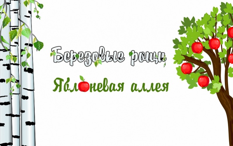 «ЗЕЛЕНАЯ СРЕДА» В БРУСИЛОВО