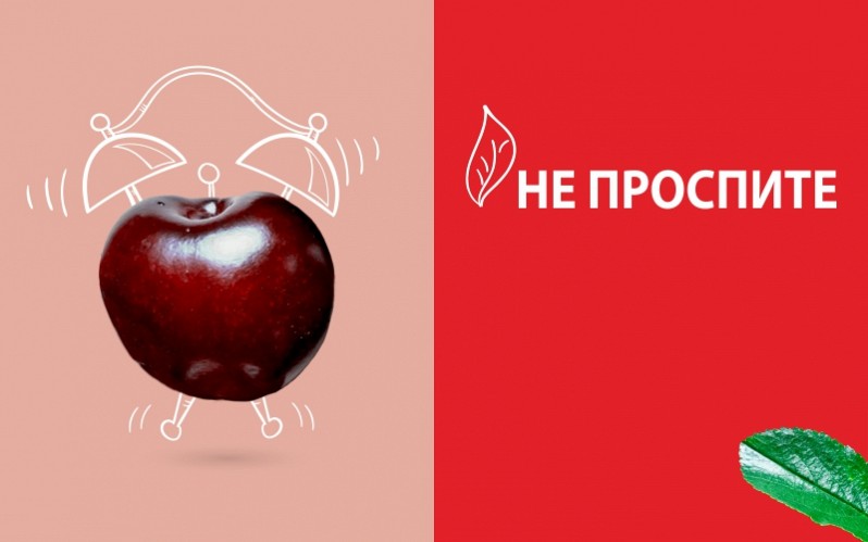 ДОМ 
