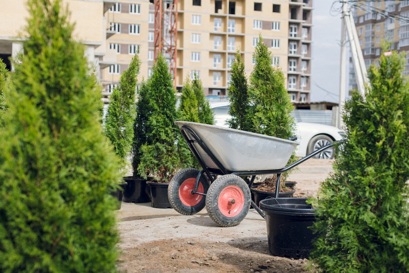 ПАРКОВАЯ ЗОНА <br>НАЧАЛО БЛАГОУСТРОЙСТВА