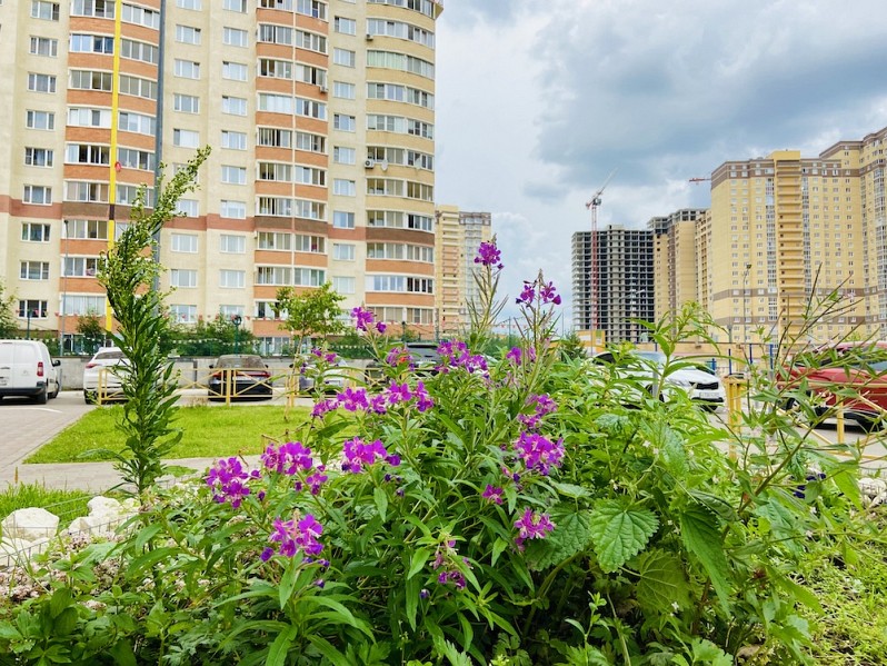 СНИЖЕНИЕ<br>ИПОТЕЧНЫХ СТАВОК<br>ОТ ВТБ
