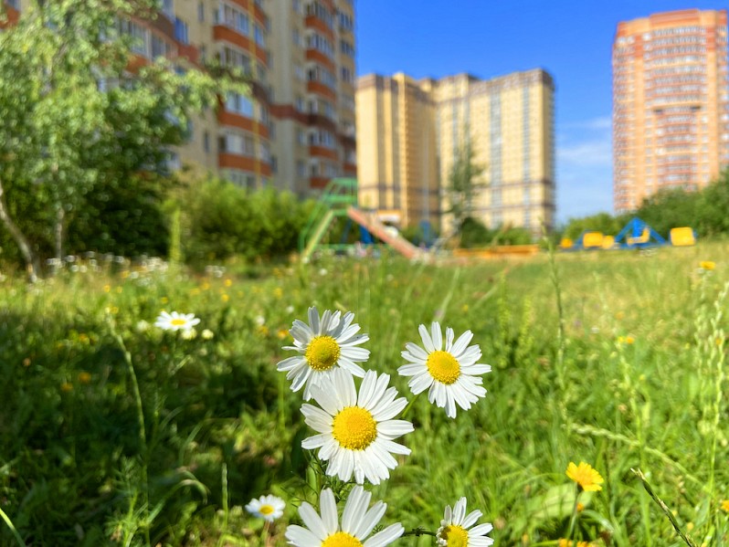 ВСЕ ДОРОГИ ВЕДУТ...